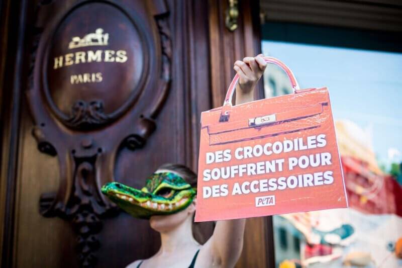 The suffering of crocodiles at leather farms for Hermes bags into exposed  in video